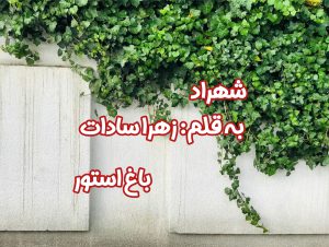 رمان شهراد از نویسنده زهرا سادات دانلود رمان با لینک مستقیم