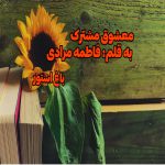 رمان معشوق مشترک از نویسنده فاطمه مرادی دانلود رمان با لینک مستقیم