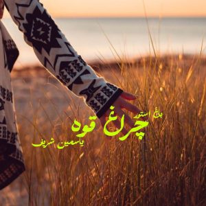 رمان چراغ قوه از نویسنده یاسمین شریف دانلود رمان با لینک مستقیم